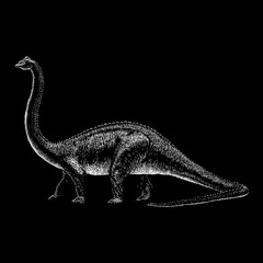 Diplodocus hand drawing vector isolated on black background.