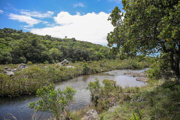 Wild Coast Jungle River