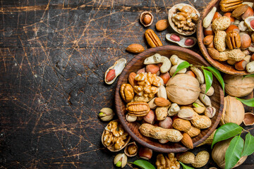Different types of nuts in bowls with green leaves.
