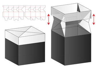 Box packaging die cut template design. 3d mock-up