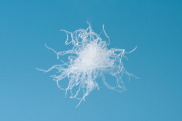 close up of a white down feather isolated on blue background. © zhikun sun