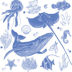 illustration underwater world elements vector set © Aomiip