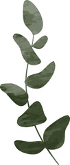 Fototapeta premium Watercolor botanical leaf branch