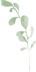 Watercolor botanical leaf branch