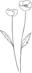Botanical floral leaf branch line art