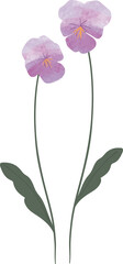 Watercolor botanical spring flower 