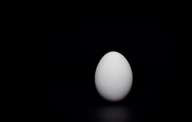 egg with black background and light reflection