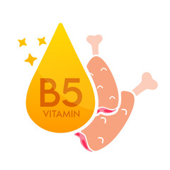 Vitamin B5 icon orange with chicken meat red. Form drop serum simple line isolated on a white background. Design for use in print media. Medical food supplement symbol. Vector EPS10.
