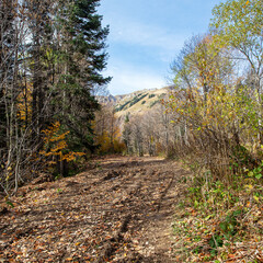 the beginning of autumn in the highlands, nature walks, panoramic views of the mountains, routes...
