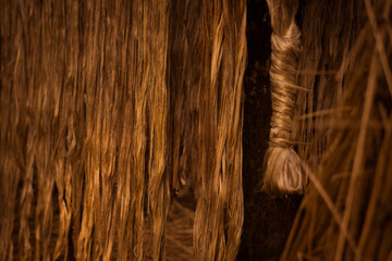 The soaked jute is being dried in the sun. Closeup image of jute. Jute is a type of bast fiber...