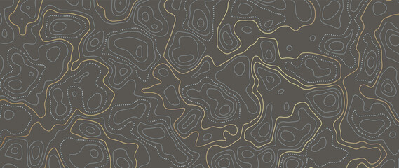 Luxury gold abstract line art background vector. Mountain topographic terrain map background with gold lines texture. Design illustration for wall art, fabric, packaging, web, banner, app, wallpaper. © TWINS DESIGN STUDIO
