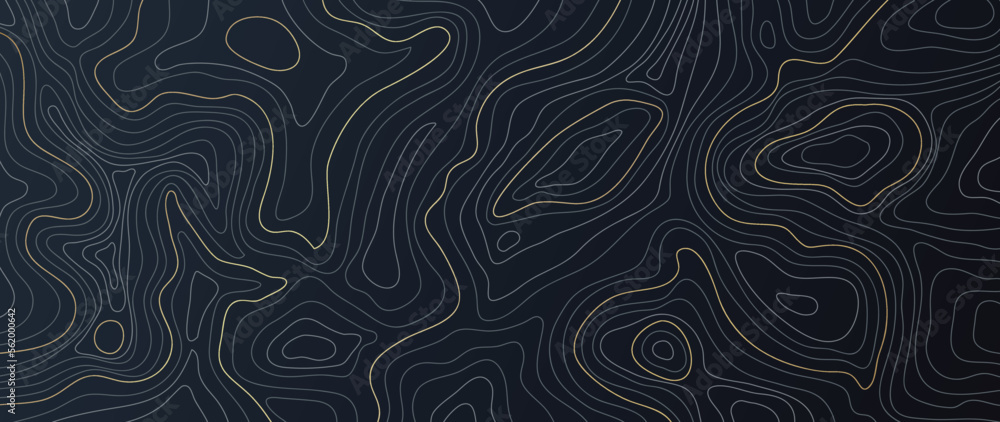 Wall mural luxury gold abstract line art background vector. mountain topographic terrain map background with go
