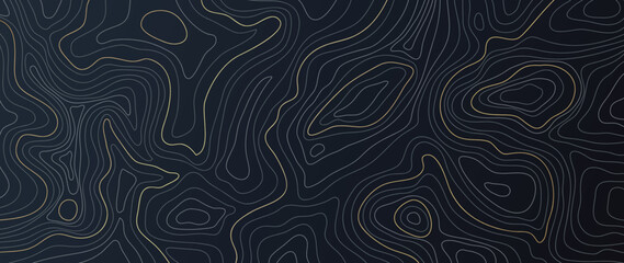 Luxury gold abstract line art background vector. Mountain topographic terrain map background with gold lines texture. Design illustration for wall art, fabric, packaging, web, banner, app, wallpaper.
