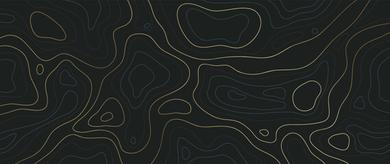 Luxury gold abstract line art background vector. Mountain topographic terrain map background with gold lines texture. Design illustration for wall art, fabric, packaging, web, banner, app, wallpaper. - obrazy, fototapety, plakaty