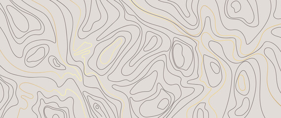 Luxury gold abstract line art background vector. Mountain topographic terrain map background with gold lines texture. Design illustration for wall art, fabric, packaging, web, banner, app, wallpaper. © TWINS DESIGN STUDIO