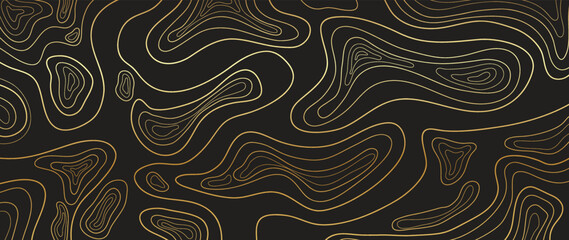 Luxury gold abstract line art background vector. Mountain topographic terrain map background with gold lines texture. Design illustration for wall art, fabric, packaging, web, banner, app, wallpaper. © TWINS DESIGN STUDIO