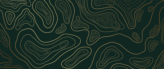 Luxury gold abstract line art background vector. Mountain topographic terrain map background with gold lines texture. Design illustration for wall art, fabric, packaging, web, banner, app, wallpaper. © TWINS DESIGN STUDIO