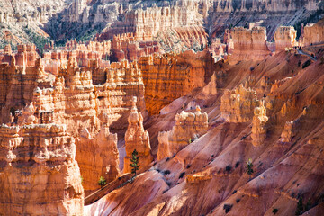 Scenic view of stunning red sandstone hoodoos in Bryce Canyon National Park in Utah, USA