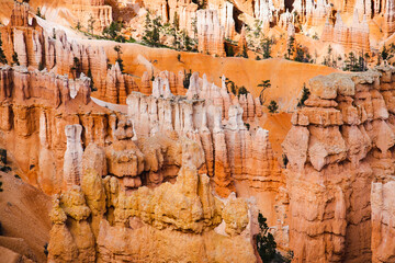 Scenic view of stunning red sandstone hoodoos in Bryce Canyon National Park in Utah, USA