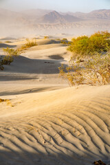 Mesquite Flat Sand Dunes during sand storm, Death Valley National Park, California, USA