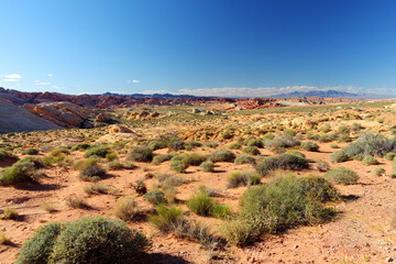 Amazing colors and shapes of sandstone formations in Valley of Fire State Park, Nevada, USA
