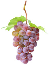 Red grapes isolated on white