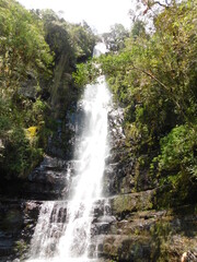 In the photo, there is a waterfall surrounded by lush greenery. The water cascades down a rocky cliff, creating a misty spray as it crashes into the pool below. The water is a deep blue-green color, r