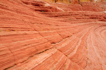 Mindblowing shapes and colors of moonlike sandstone formations in White Pocket, Arizona, USA.
