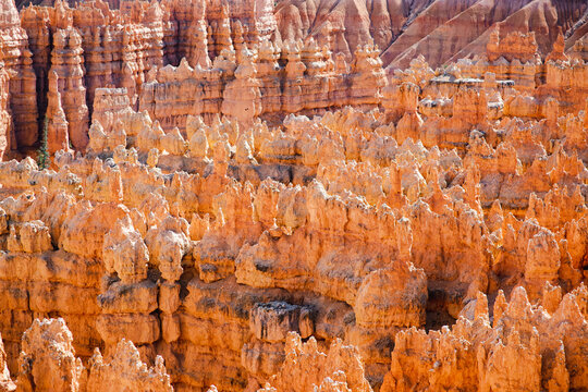 Scenic view of stunning red sandstone hoodoos in Bryce Canyon National Park in Utah, USA