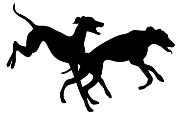 Hounds silhouette. Two dogs jump and have fun. Pets. Dogs for running competitions. Hound breed of dog.