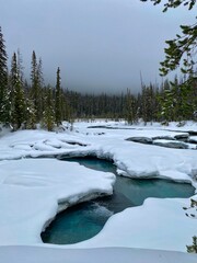 mountain river in winter