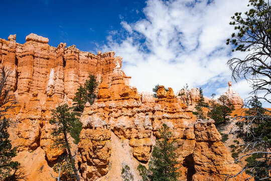 Scenic view of stunning red sandstone hoodoos in Bryce Canyon National Park in Utah, USA