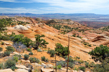 Fototapeta na wymiar Scenic view of marvelous red and white sandstone formations of Yant Flat in Utah, USA