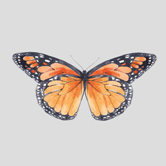 Fototapeta na wymiar Beautiful vector clip art image with cute watercolor butterflies. Stock illustration.