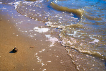 Obraz premium 砂浜