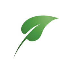 set of green leaf isolated on white background