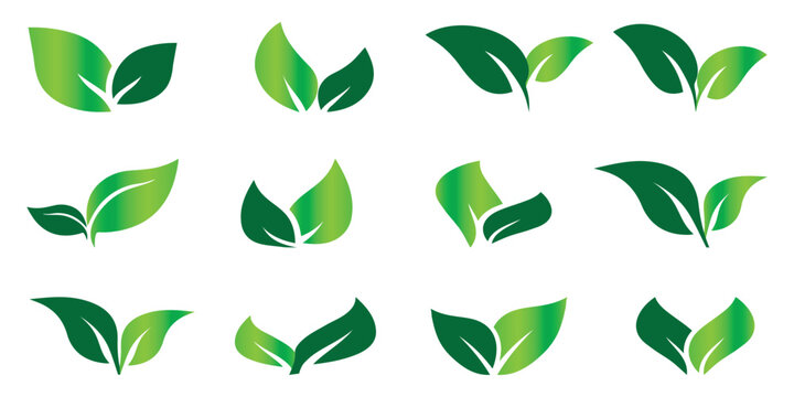 Set of green leaves icons. Collection green leaf. Green leaf ecology nature element. Vector 