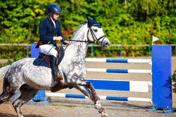 Show jumper with horse white galloping on the course in the tournament..