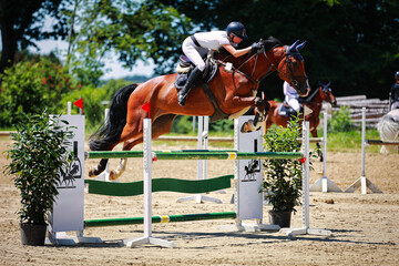 Show jumper FrauU with a brown horse in a tournament jumping over an obstacle in the course...