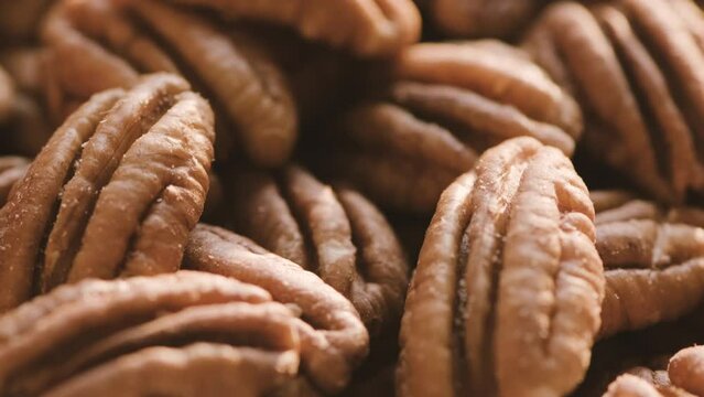 Close up delicious harvest of fresh pecan nuts.