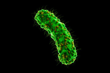Concept infectious agents, bacteria, bacilli, E. coli, part of the gut microbiome. Magnified image from under the microscope. 3D rendering, 3D illustration.