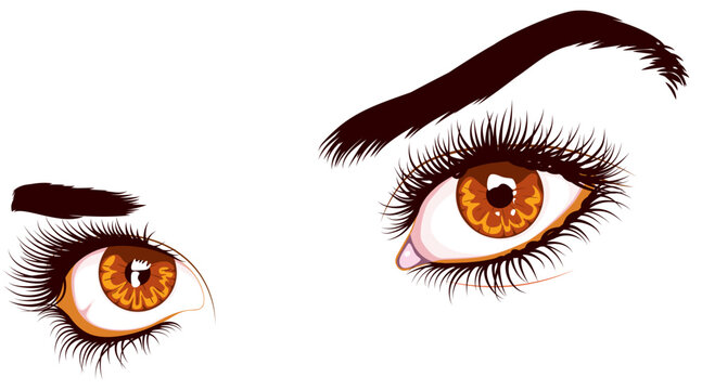 Brown eyes with long eyelashes