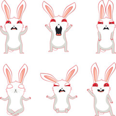 Crazy  white bunny in different poses set