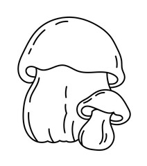 Boletus edulis. Edible mushrooms. Vector line. Editable outline stroke.