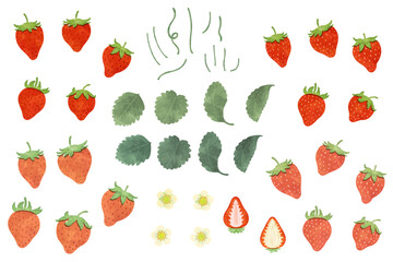 レトロなイチゴのイラスト素材セット