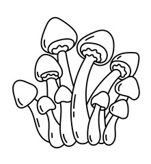 Honey fungus. Edible mushrooms. Armillaria mushrooms. Agaric honey. Vector line. Editable outline stroke.