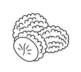 A truffle is the fruiting body. Edible mushrooms. Vector line. Editable outline stroke.