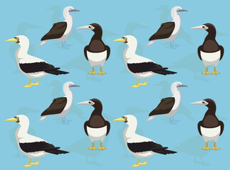 Bird Booby Cartoon Character Seamless Wallpaper Background