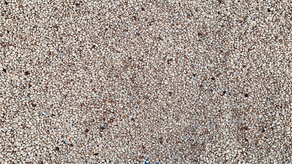 Coffee bean drying in a yard ,Coffee beanbackground