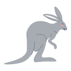 Australian fauna, kangaroo mammal animal portrait